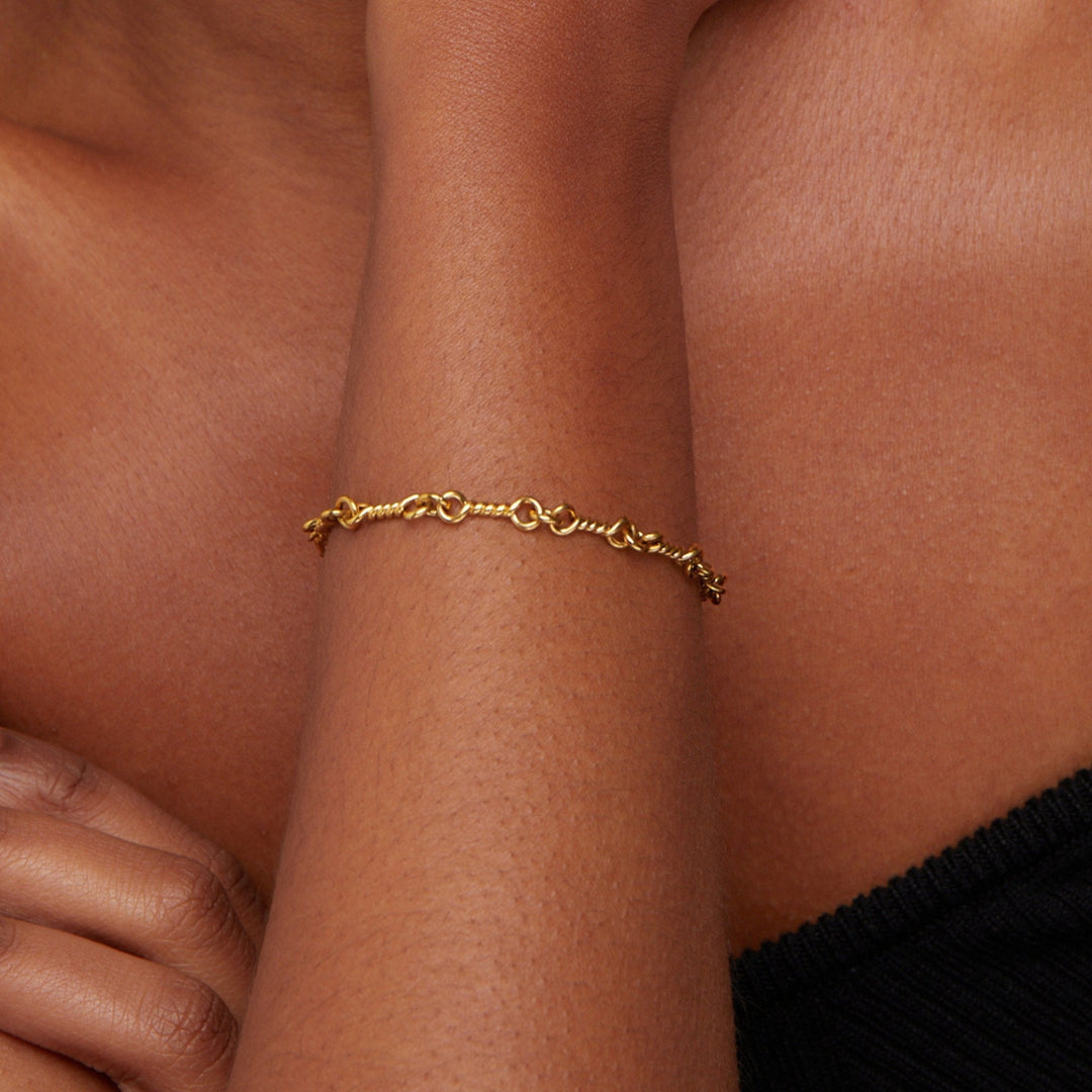 Armband mit ineinandergreifenden Gliedern